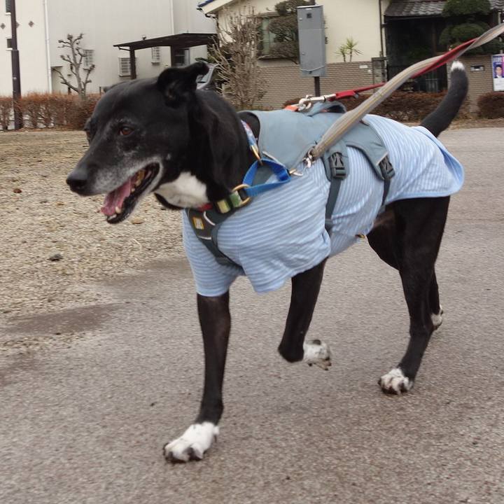 805a6baa a764 4360 970f 4ada5df6c8af 1741737613065