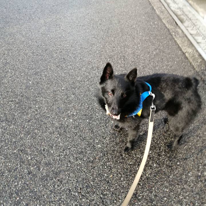 805a8c04 2544 4bcf b430 70f86f2290ea 1593553346187