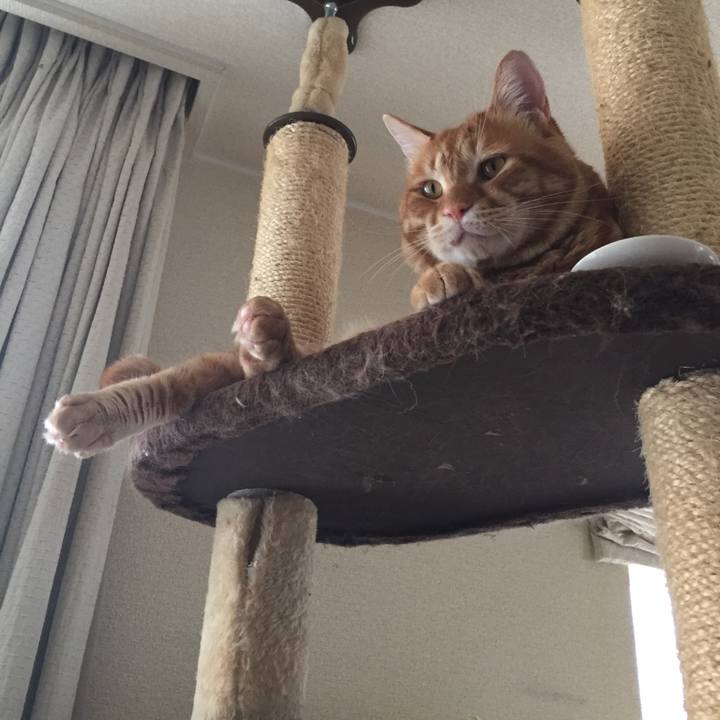 805a92fc 7c92 4db5 94dd 6093948548ff 1567078886618