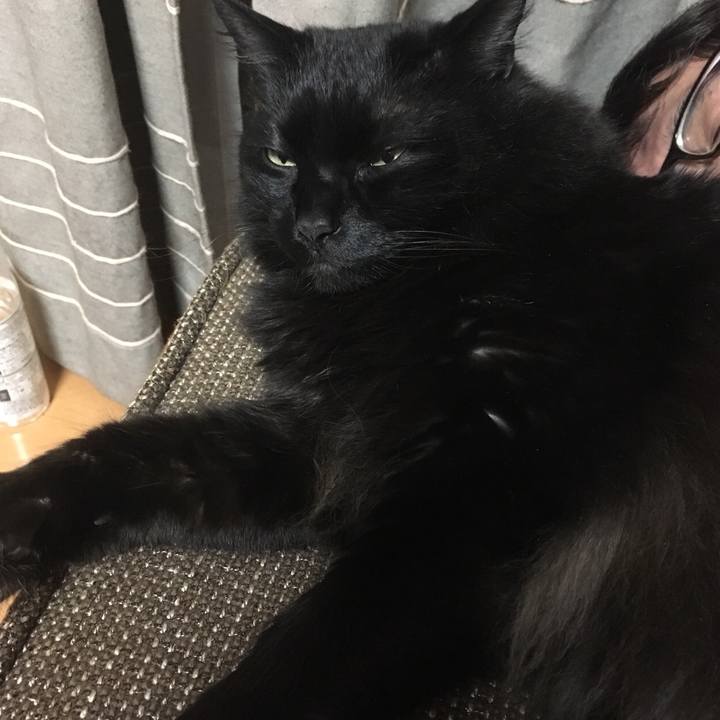 805aab8b b6e8 4fc6 9305 e8d0792fc22d 1516185834413