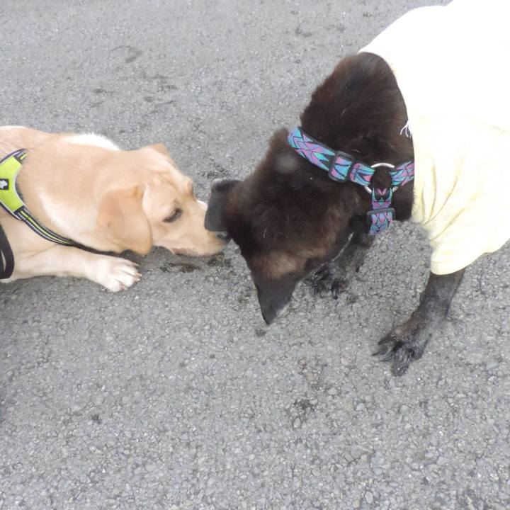 805b1730 d8d9 4e58 aedb 8ed1fcc670e7 1510020459752