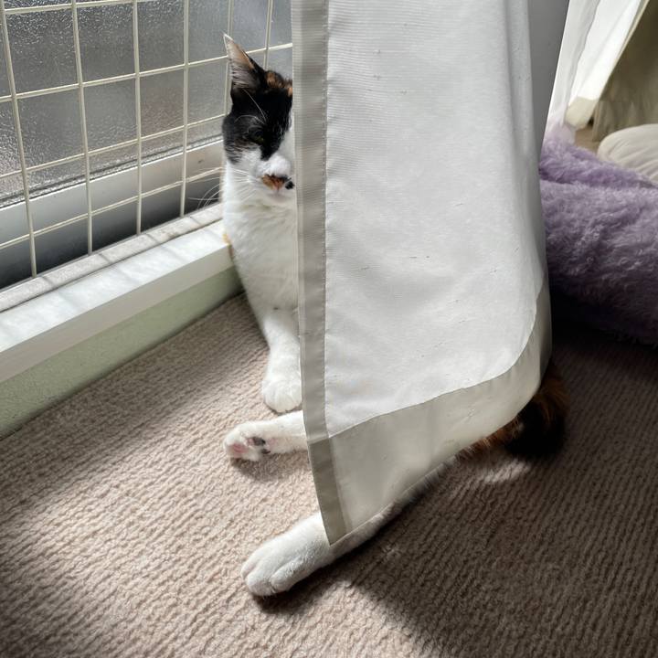 805b204c a689 4836 a284 56c3bd855633 1742476736371