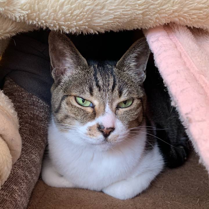 805b3ff1 cc63 4227 be14 401c3f56a1b3 1551141379482