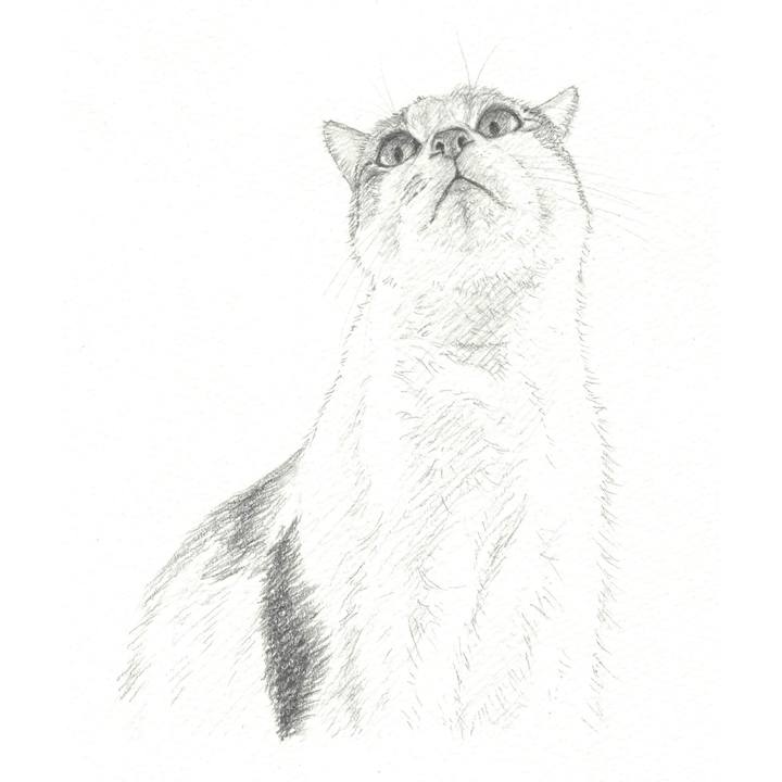 805b4f94 c4a3 4ff2 a9cc 22fabec449e1 1545141202366