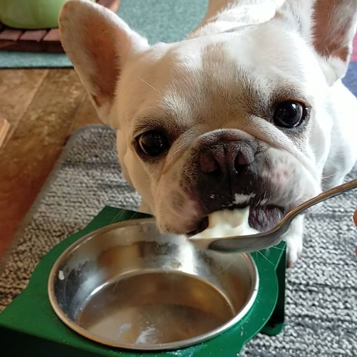 805b65ff c1de 4b38 b5ff 42e74165ee2c 1655420696168