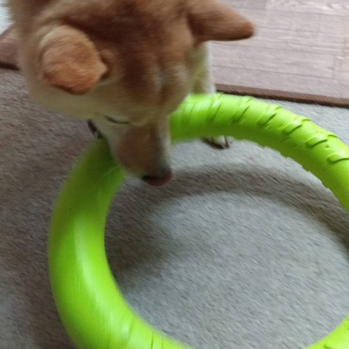 805b684a e996 4b8d bb06 b4663b06d8a9 1594610101323