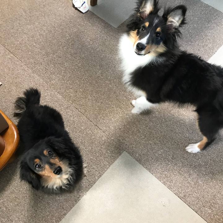 805b7ab8 e4d7 42e8 908d 9827b4507c5e 1516314329762