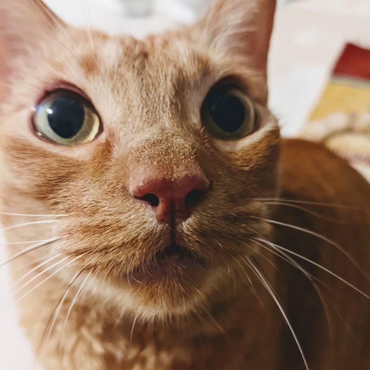 805bbcad 79f4 4056 ae04 b3780169c2ba 1650282325717