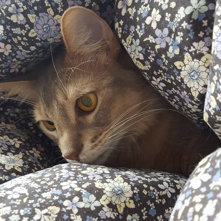 805bc6ed 4c85 4510 a56d 1a38c9cddd9a 1579492108783