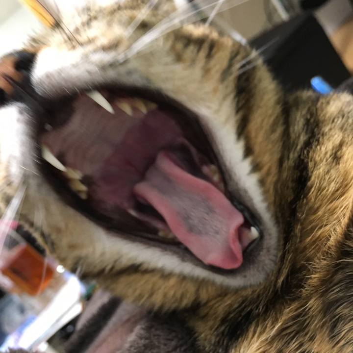 805bee8a aa69 44ac a818 18f6533f3b23 1521178389200