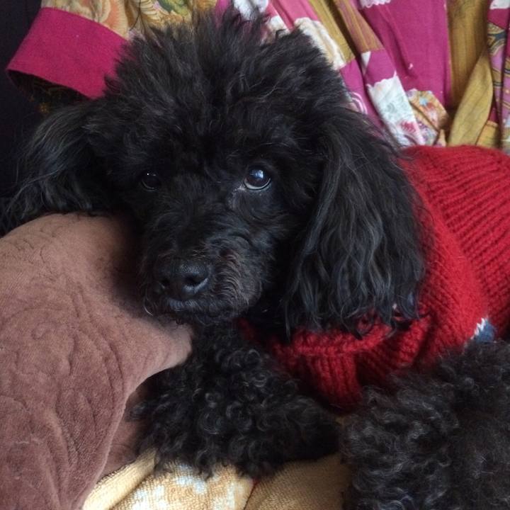 805c2a59 d017 4e33 96c0 d6bbb41fc4ae 1515588544452