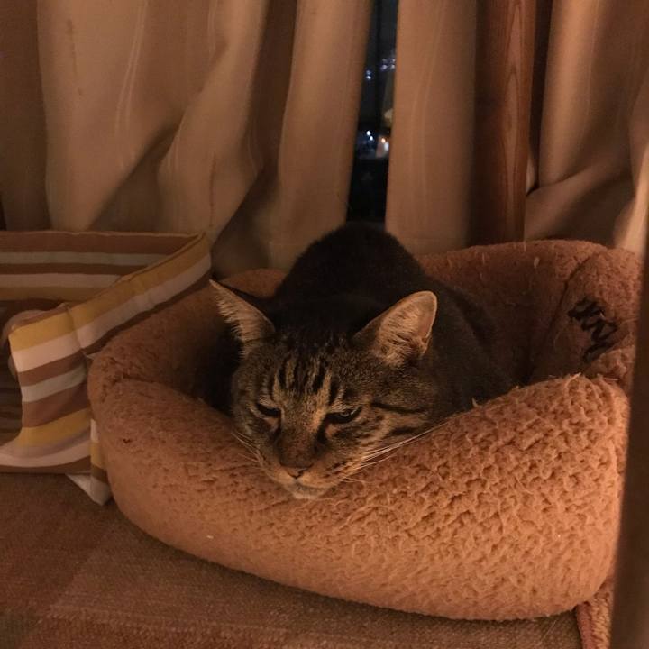 805c3c65 b5d4 4085 935e 275a72f36920 1654526779032