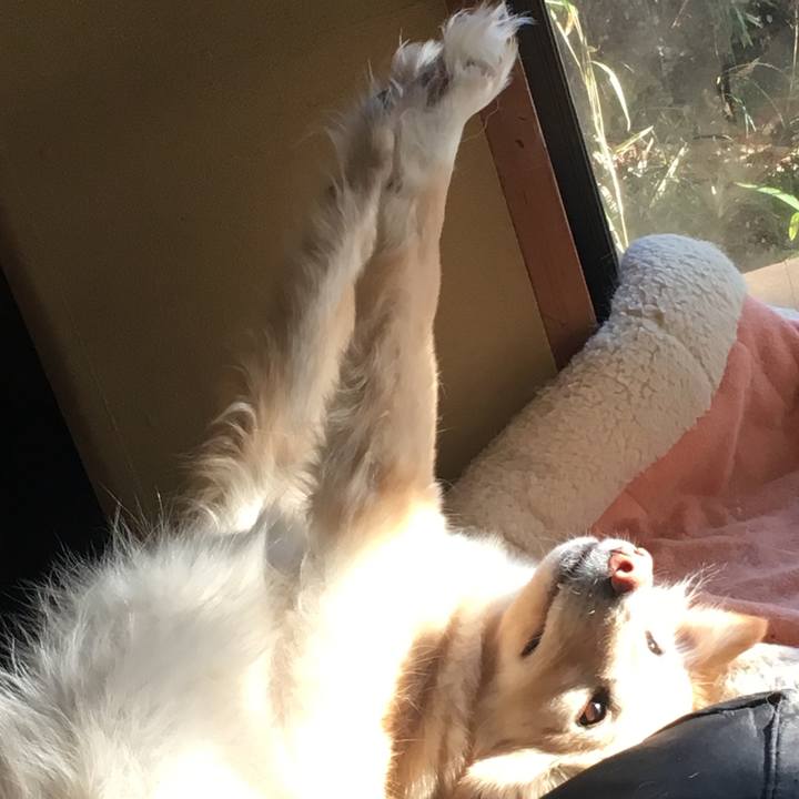 805c518a cf82 497c aa6e 6e942eb4d8f1 1554867292399