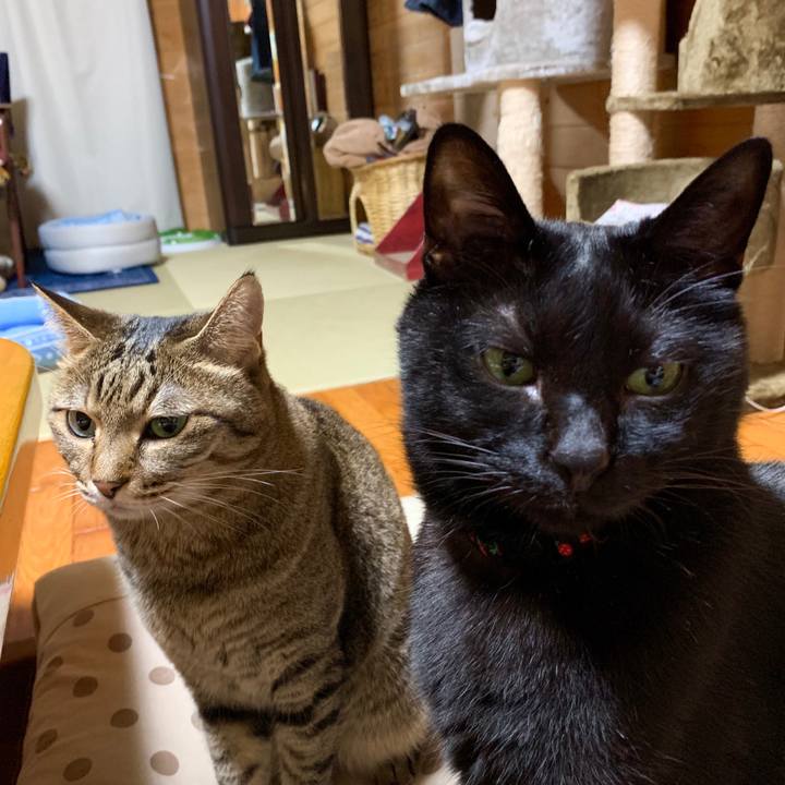 805c5b04 6a05 40e3 a74c f696302d7720 1566737155181