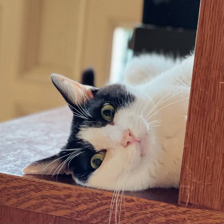 805c655f e320 4301 a204 6843f7d9f6e4 1660357386835