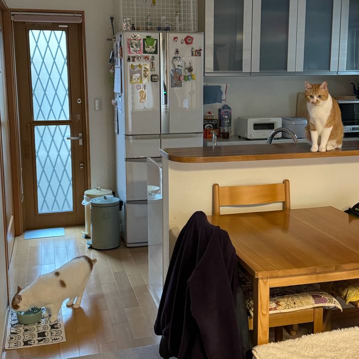 805c6aae 31b0 4224 923e bede520f4254 1771986371678