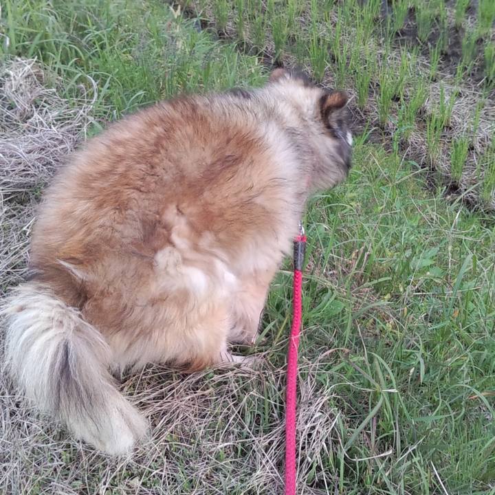 805c6ff0 5a2a 4499 bc7a 9f15dfbe5a04 1569761601798