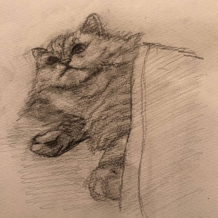 805c7fc2 b9e4 43e4 af95 a4f75a47ad2a 1540720035735