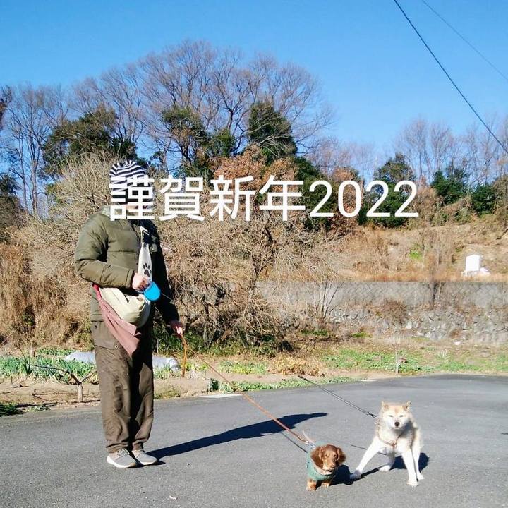 805cba1d ff82 430b a8b0 6290e91e2443 1640999298615