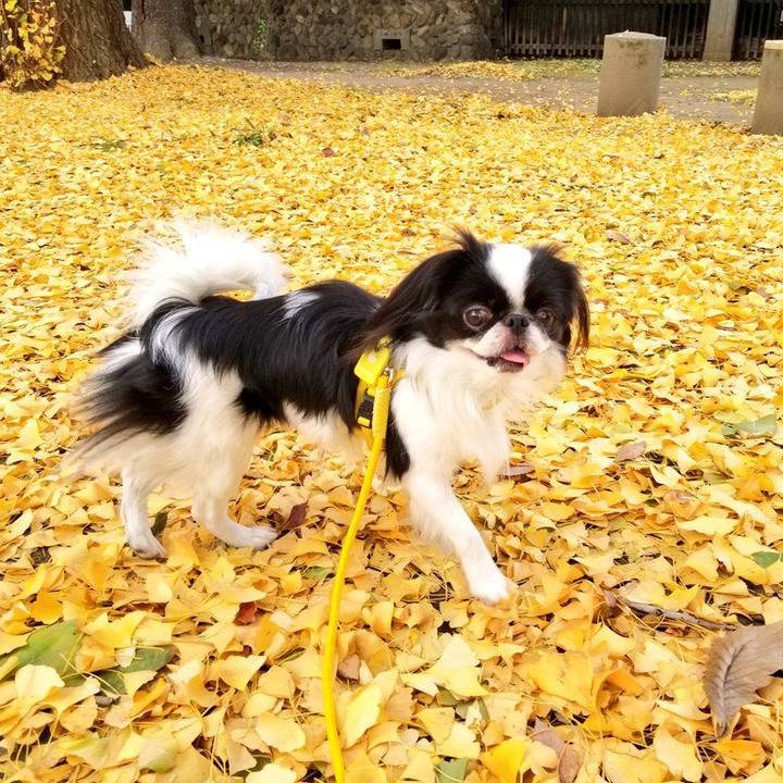 805d5f2f 5b60 4654 a7e5 09d6055d4039 1668681393673