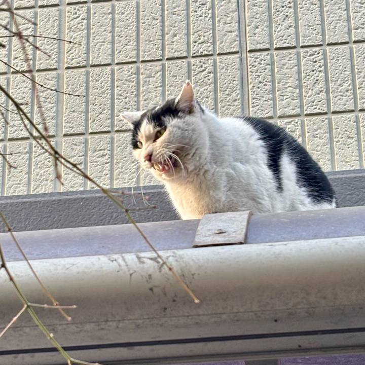 805d6826 0a74 4c24 8c77 02b6e83be224 1768553423211