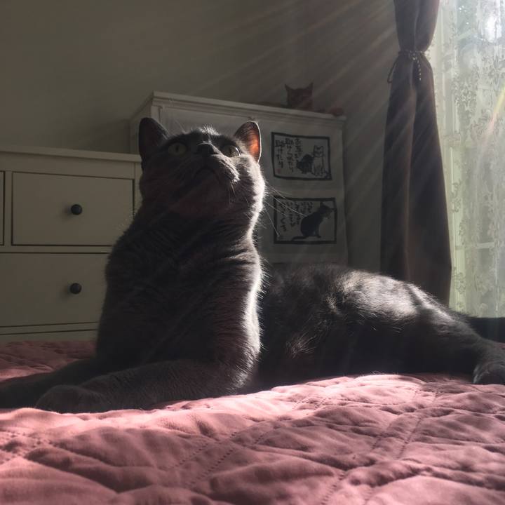 805d8e6e ffc9 444b b2bf debb7b95b79d 1664675666159