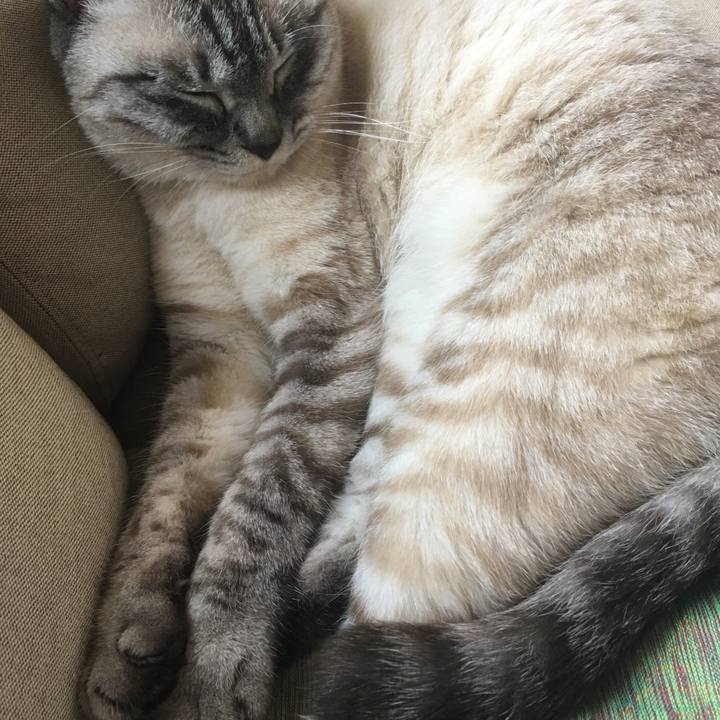 805dc6b3 ceed 445e af08 a866f561333a 1589694307229