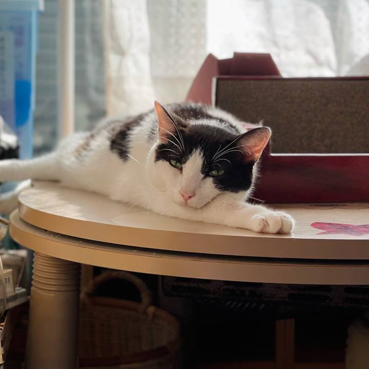 805de1bb bca8 44a9 ab1a ff7a42e2811a 1633228418376