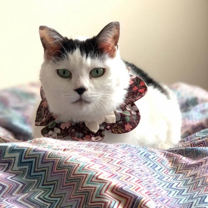 805de40a 9ad6 404f 9826 86f2b8361472 1680794114870