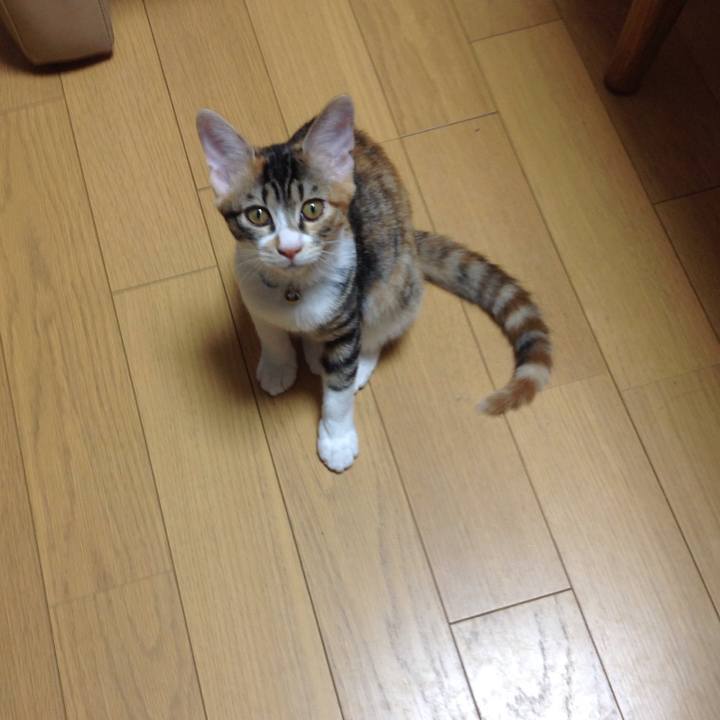 805e0372 b358 4ee4 bf0a 7c5f9e8e4298 1629961405763