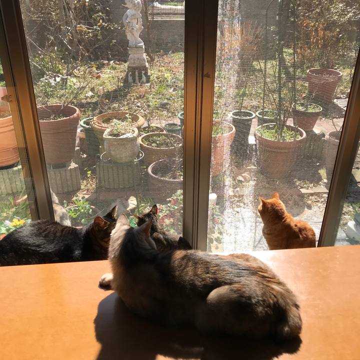 805e37e0 81b9 4898 aa15 02a1ae8d9799 1517976946218