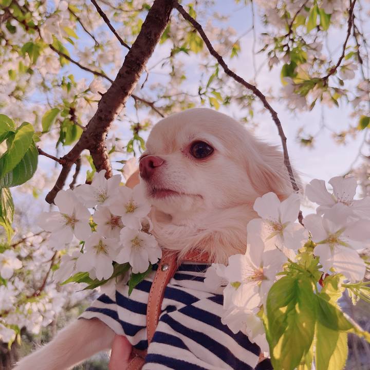 805e4ae2 4a16 425f aa7e f9cea15c0532 1679476516129