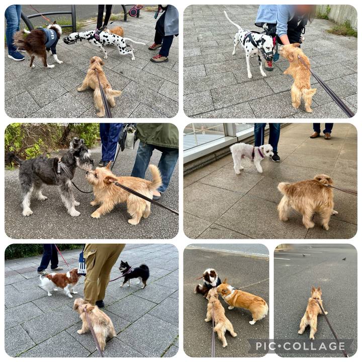 805e61f0 8684 43ee a7be e6a2ffa8092e 1729676229474