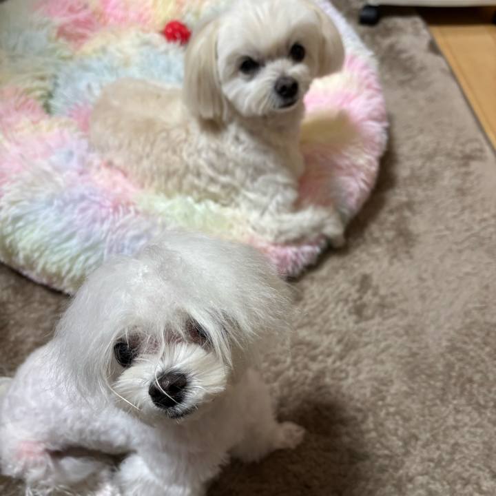 805ec323 78b1 451b b9b5 5fbc13b07e27 1734683516484