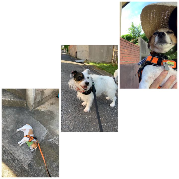 805ed5c9 97b3 4f73 83eb 256e07e69df4 1597103402435