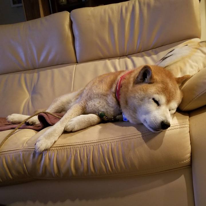 805edf52 de8c 4516 82b8 734962ca84f6 1712228896733