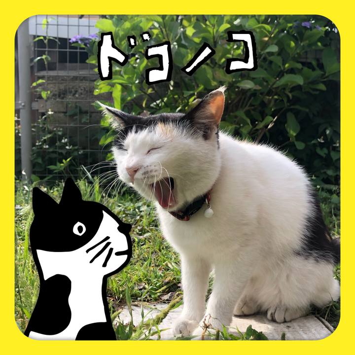 805ef9f3 03ec 46a7 babe cddf77a95c26 1622938055582