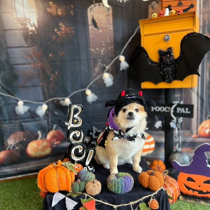 805f080b 6df6 476e 9851 15198f48a16d 1729690242782