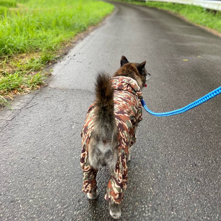 805f4393 cad7 4322 b7d1 d0aa227ca6df 1659532573034