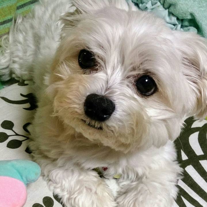 805f6802 ea3b 4aa6 99bc 2eb1b8832863 1526295222586