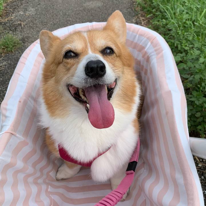 805f8978 11a3 48fb a590 37e7935a6ed9 1695432603988