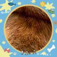 805fa602 1ef9 4c14 9eb7 17c330ddb22d 1720852388539