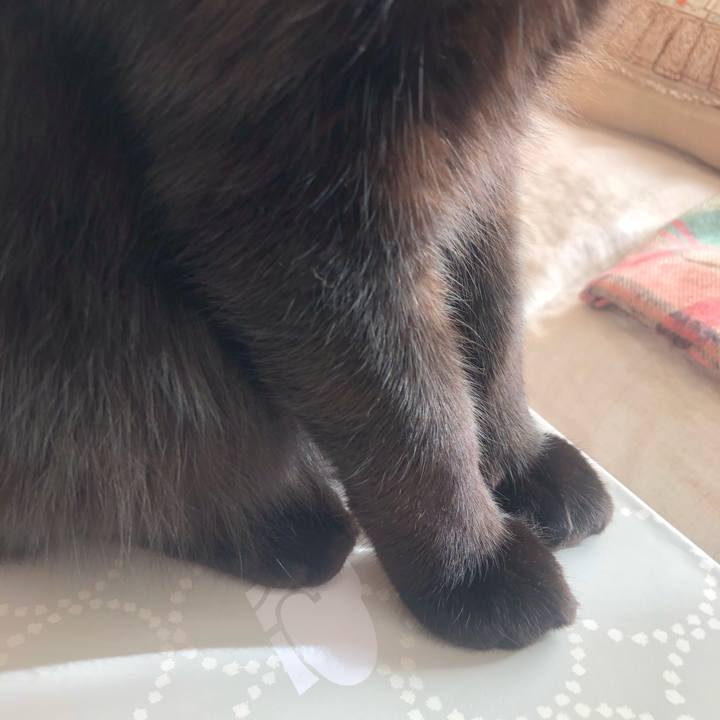 805fbca2 6d30 43e2 8fbe 72617b7af742 1582349965120