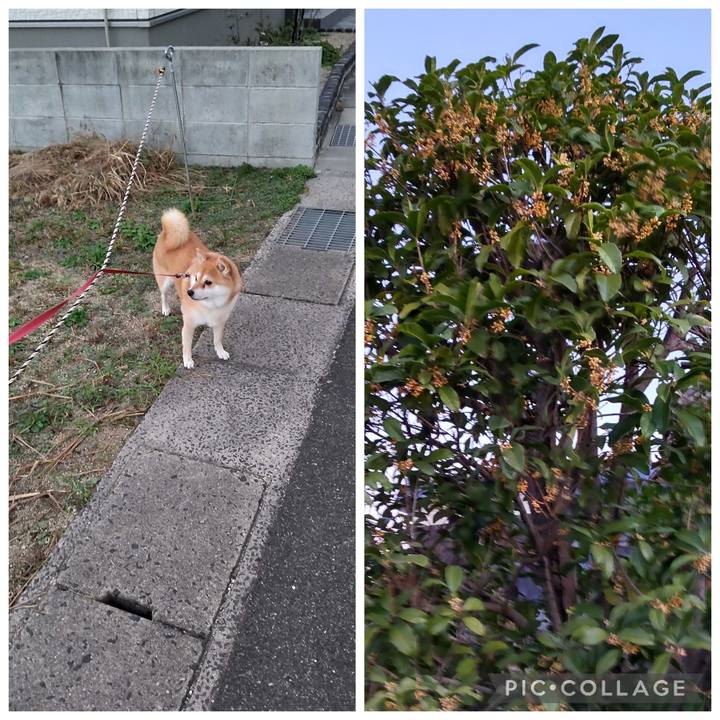 805fcb25 7abd 496b 9295 6779f2052aef 1761777253445