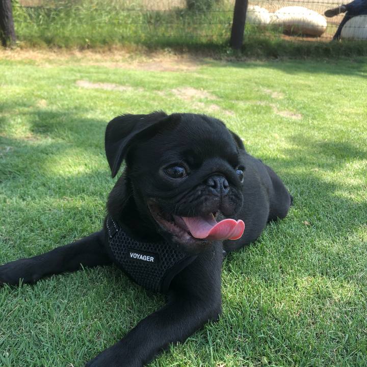 805fdfeb 1380 4541 bbe1 487978690bf3 1591506404110