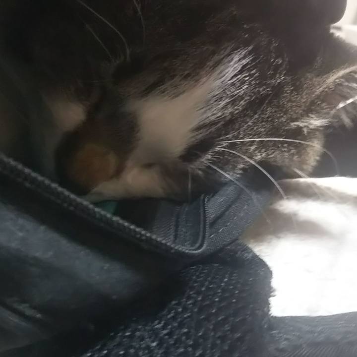 80600e78 973e 4947 97bf d5d9d826f3ba 1614613390432