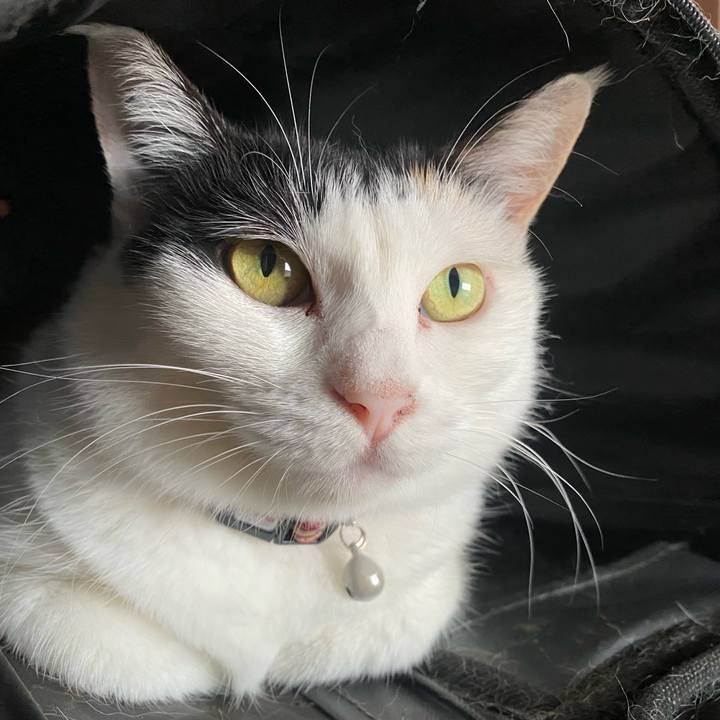 8060859f a050 4f2f 9436 9c67605f9c98 1662119866779