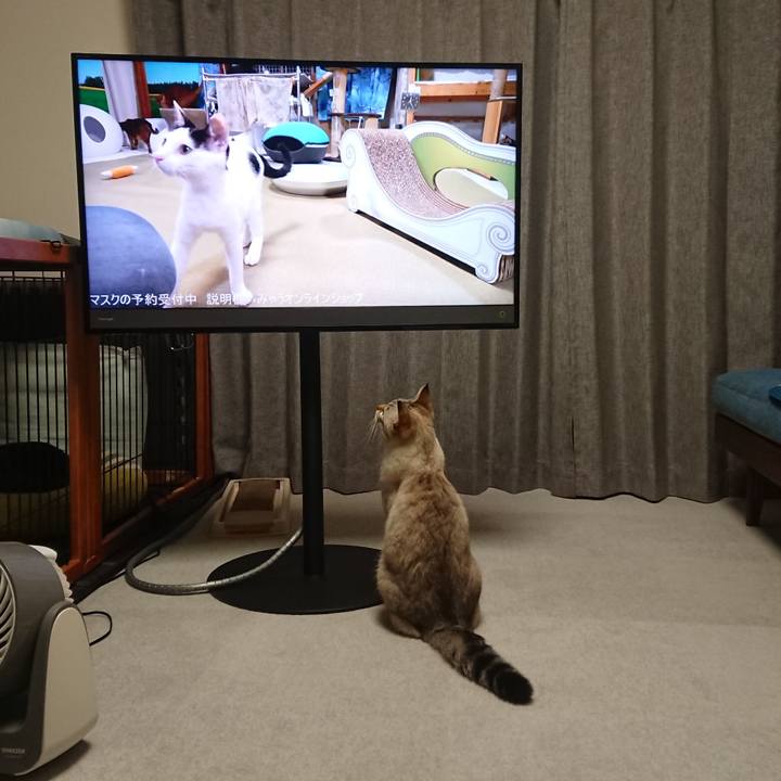 8060a605 b89b 4c50 be41 bbd4c706c10e 1600010481553