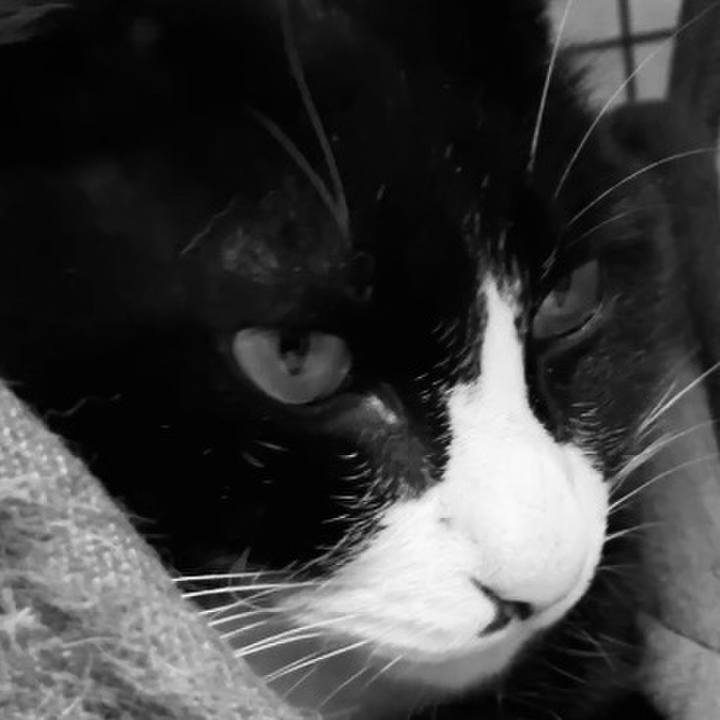 8060c095 c9b8 4232 82f3 c7d29874d7f8 1737288763827