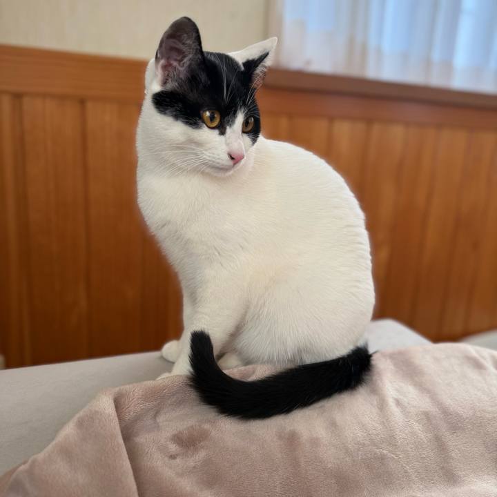 8060fd2d ea3b 443c a2fe 5fc792463e1a 1770815042049